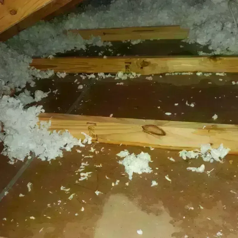 Attic Water Damage in Biloxi, MS