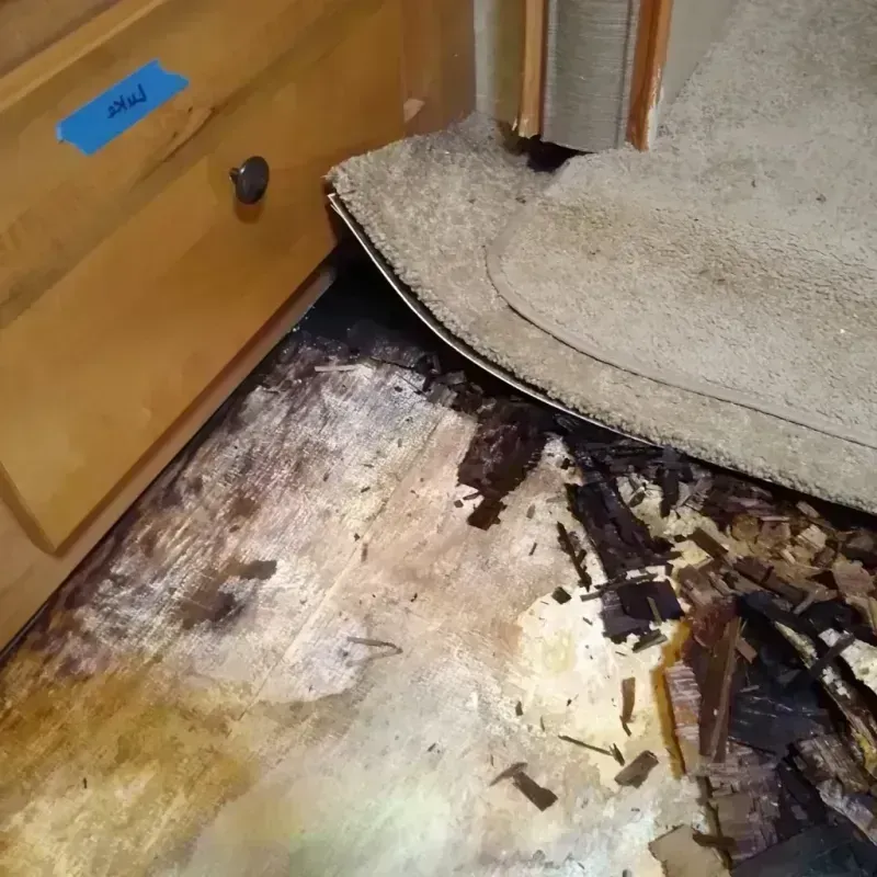 Wood Floor Water Damage in Biloxi, MS